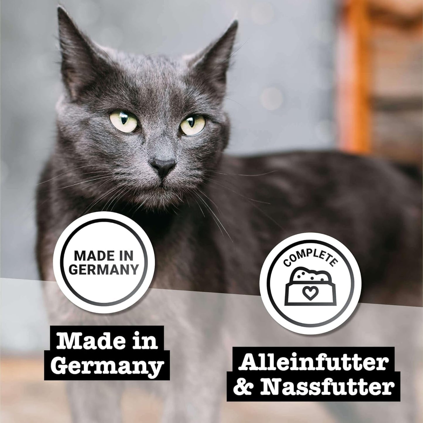 Natvoer voor katten Catz Finefood Purrrr Paard Monoproteïne nr. 123, voor katten met een gevoelige spijsvertering, 70% vleesgehalte, 6 dozen x 400 g