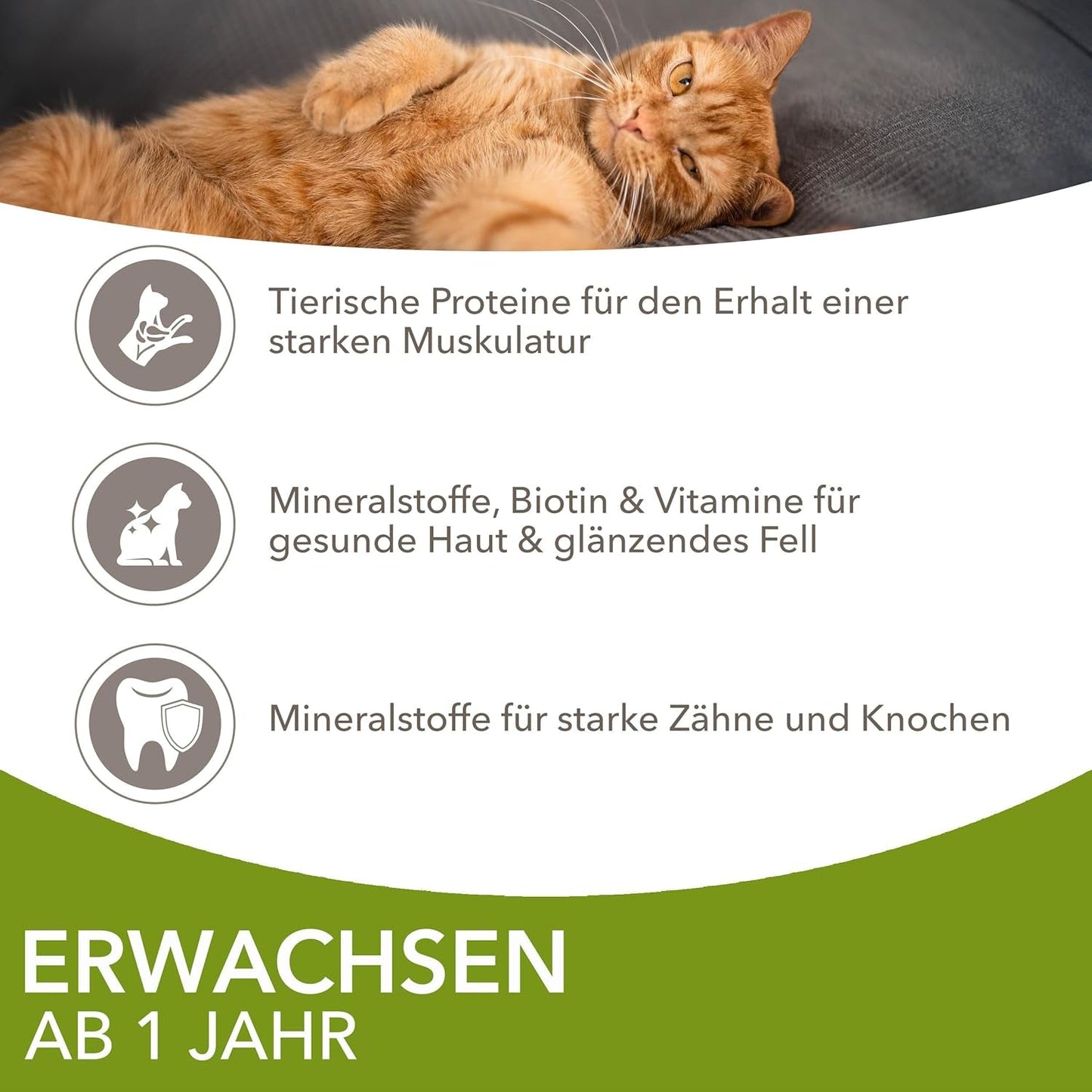 IAMS Delights Land Collection Natvoer voor katten - Multipack met vleessoorten (lamsvlees, rundvlees, kip en kalkoen) in saus, natvoer voor katten vanaf 1 jaar, 12 x 85 g