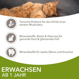 IAMS Delights Land Collection Natvoer voor katten - Multipack met vleessoorten (lamsvlees, rundvlees, kip en kalkoen) in saus, natvoer voor katten vanaf 1 jaar, 12 x 85 g