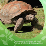 David Rio - Schildpad Groene Chai, doos (1 x 398 g)