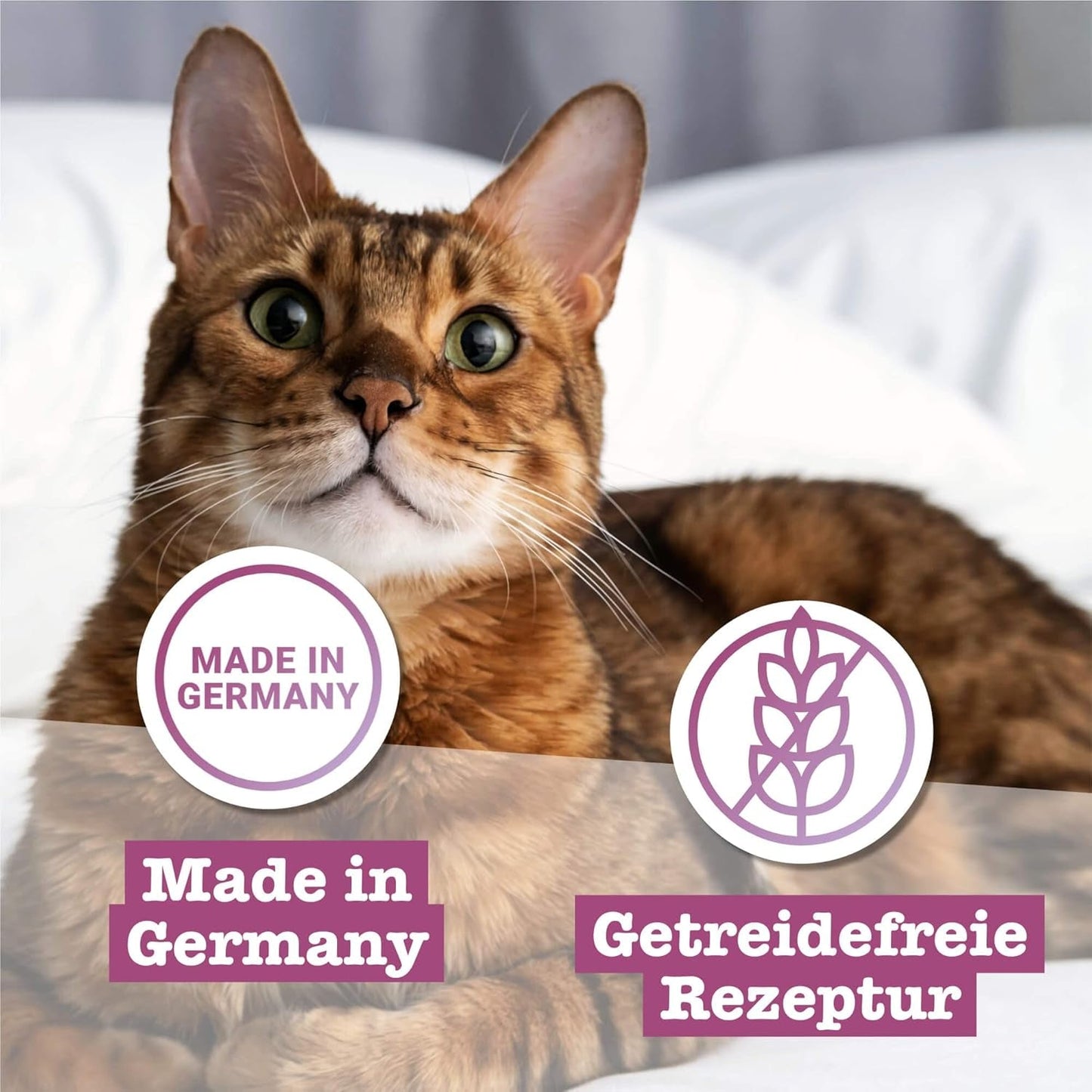 Catz Finefood Classic Collection Mixed Pack Nat Kattenvoer - Gourmet natvoer voor uw kat, graanvrij en suikervrij, met een hoog vleesgehalte, 24 zakjes x 85g