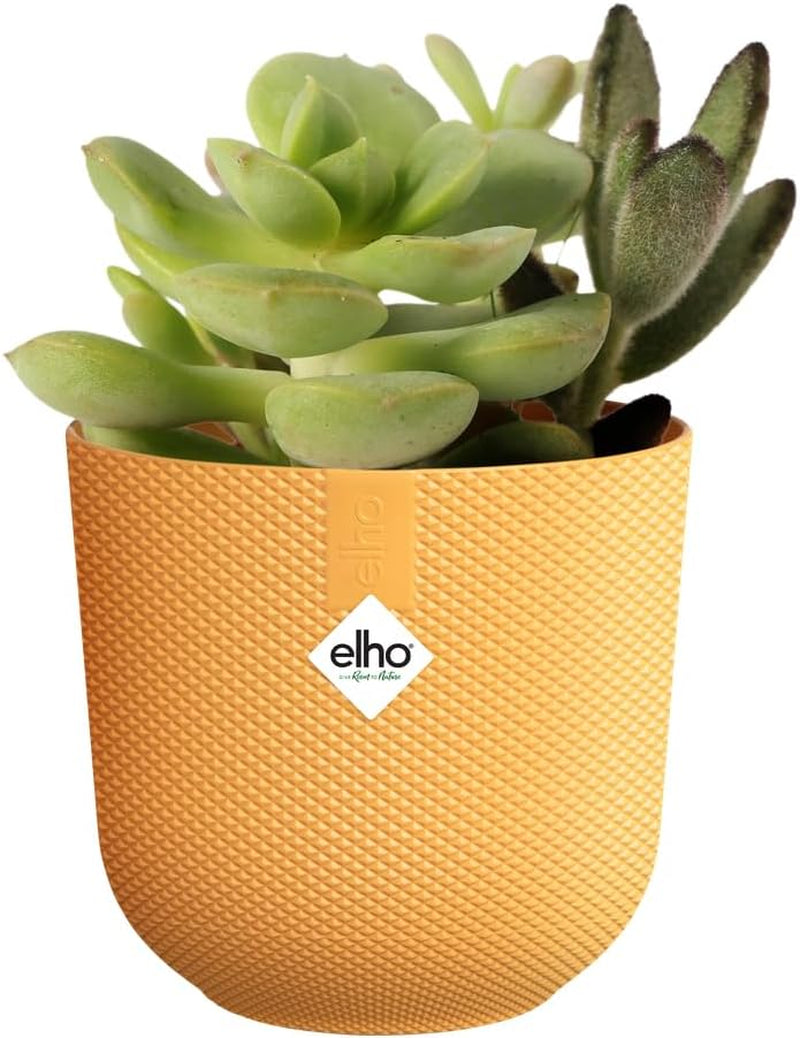 elho Jazz Round Mini 7cm - Bloempotten voor Binnen - 100% gerecycled plastic - Ø 7 x H 6,5 cm - Geel/Amber