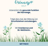 Almo Nature Functionele Urinaire Hulp - Nassfutter für ausgewachsene Katzen mit Fisch - Unterstützung für die Gesundheit der Harnwege - 30 Zakjes à 70g