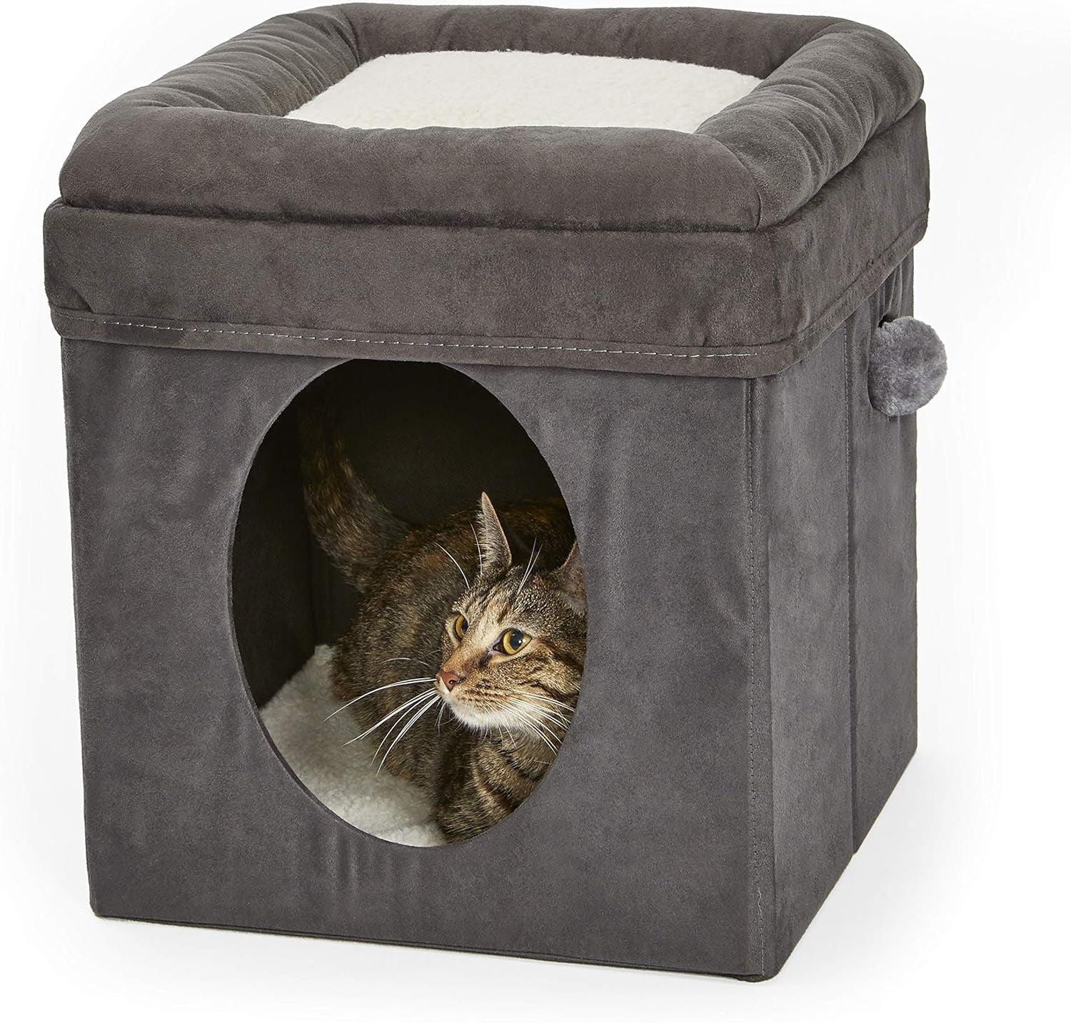 Bedden en banken, dekens en meubels, huisdieren, katten, kattenbedden, katten - bedden, matrassen