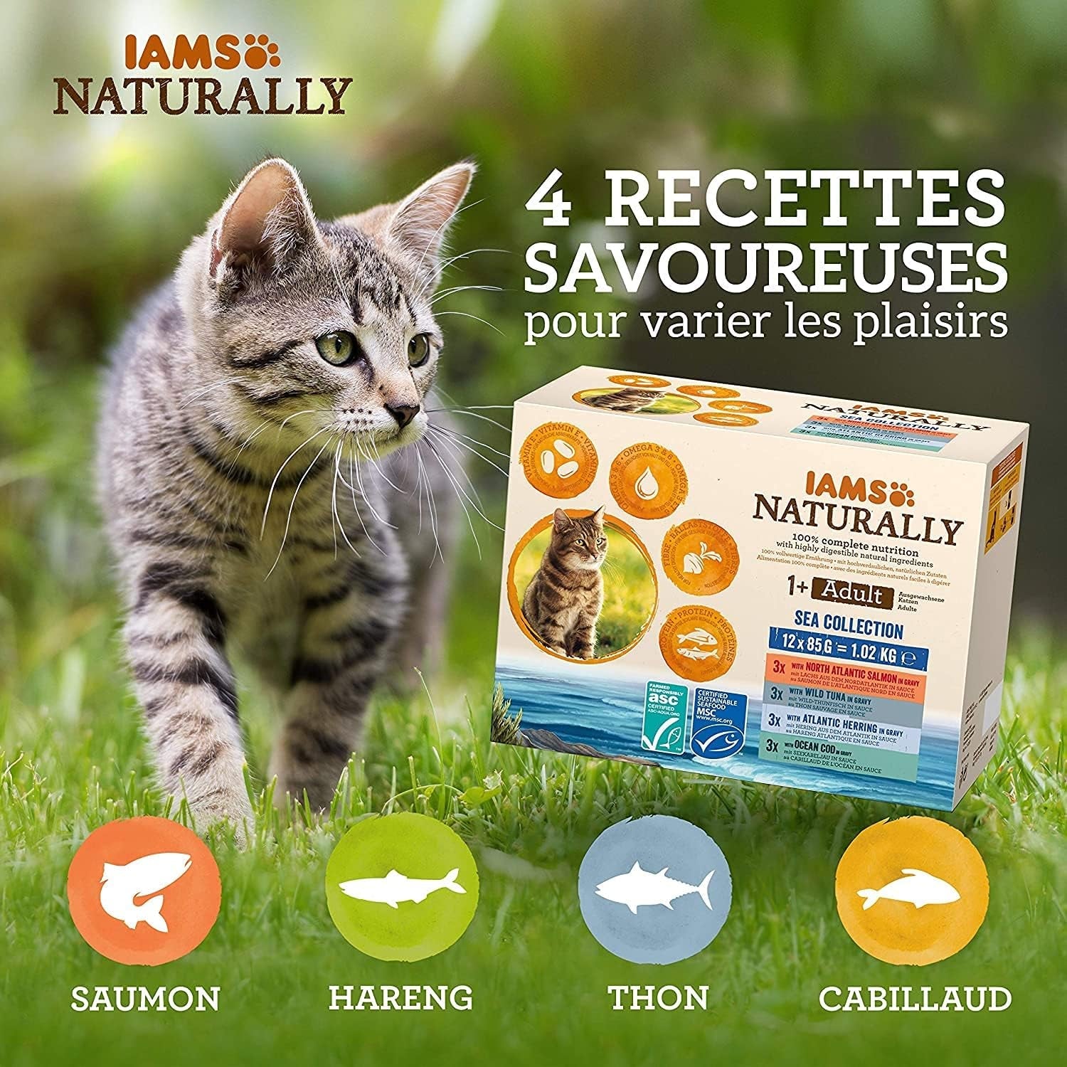 IAMS Natuurlijk natvoer voor katten in saus - Hoogwaardig natvoer met vis voor volwassen katten, Sea Collection, 12 x 85 g