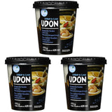 Allgroo Udon Cup Instant Noodles - Smaakvolle Pittige Zeevruchten Udon Soep - Snelle Bereiding (1 x 173g)