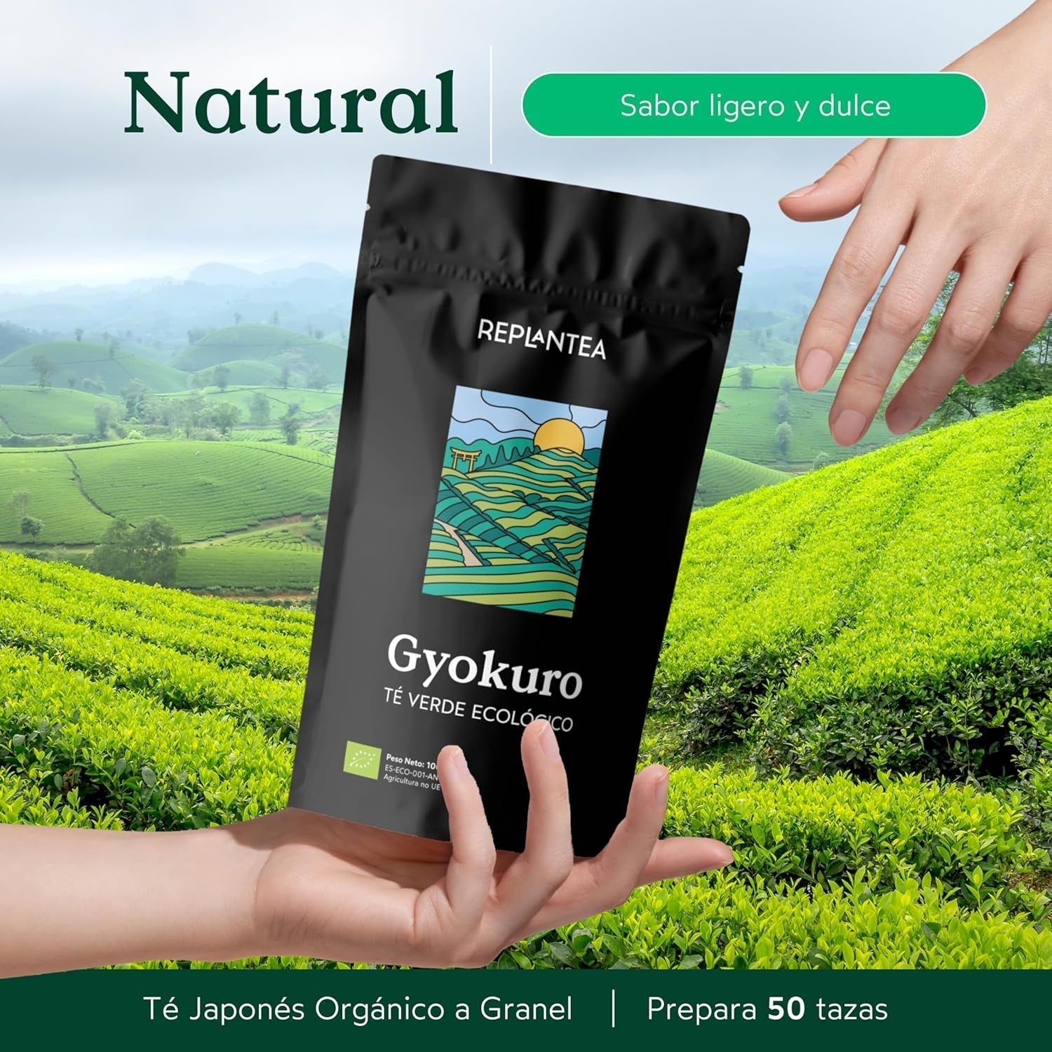 Biologische Gyokuro Japanse Groene Thee (100 g) | Premium bulkthee | Verfijnde umami-smaak en delicate zoetheid | HERPLANTEREN