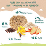 Milupa Babypap - Haver- en fruitpap 10 maanden tot 3 jaar babyvoeding 1 x 400 g (pak van 2)