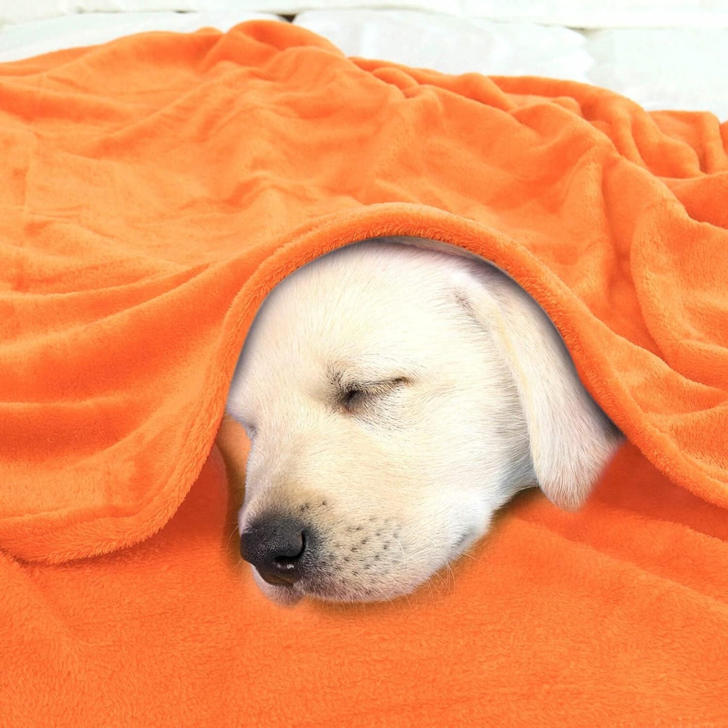 Zoekkaart Gezellige dekendeken sprei Zachte en warme fleecedeken als bankdeken Sofadeken Woonkamer- en knuffeldeken Zachte pluche wollen deken Oranje 150X200Cm Bedden en dekens Besuche den uxcell-Store