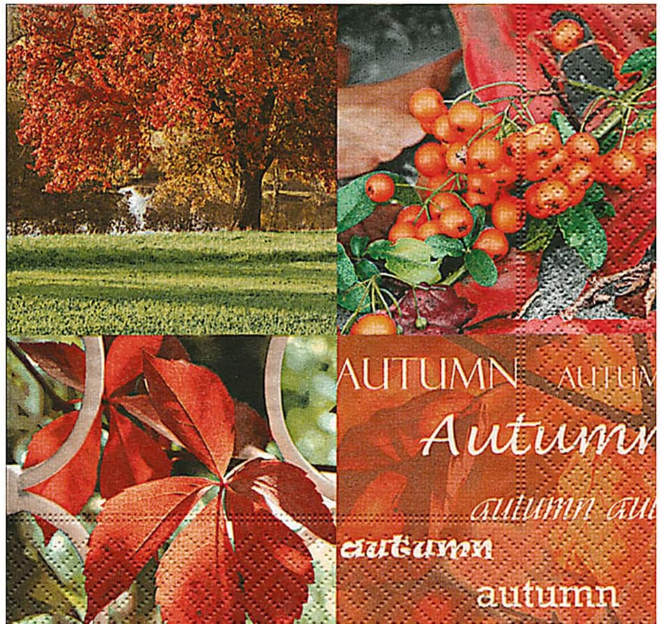 Cellulosedoekjes, de aard van de herfst" (inhoud 1)