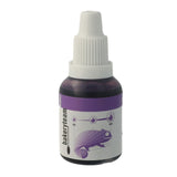 Kleurstof Bakeryteam Airbrush Violet 20ml