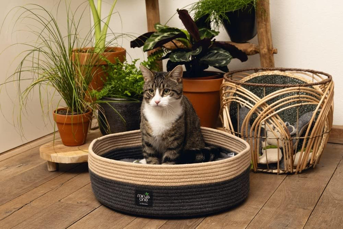 Bedden, dekens & meubels, huisdieren, katten, kattenmanden, Katten - bedden, matrassen