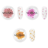 NÉONAIL Nail Art Flowers Set - Trockenblumen - Getrocknete Blumen - Nageldesign Zubehör - Nageldekorationen - Getrocknete Blüten - Nageldecoratie - Gelnägel Zubehör - 3 kleuren - Rosa, Lila, Oranje