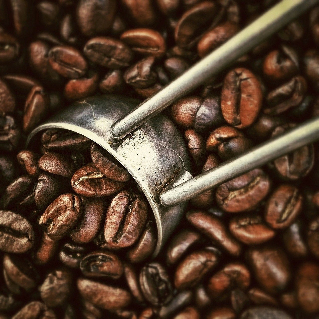 Koffie met aromatische hazelnoten, 3 hele bonen van 1000 g