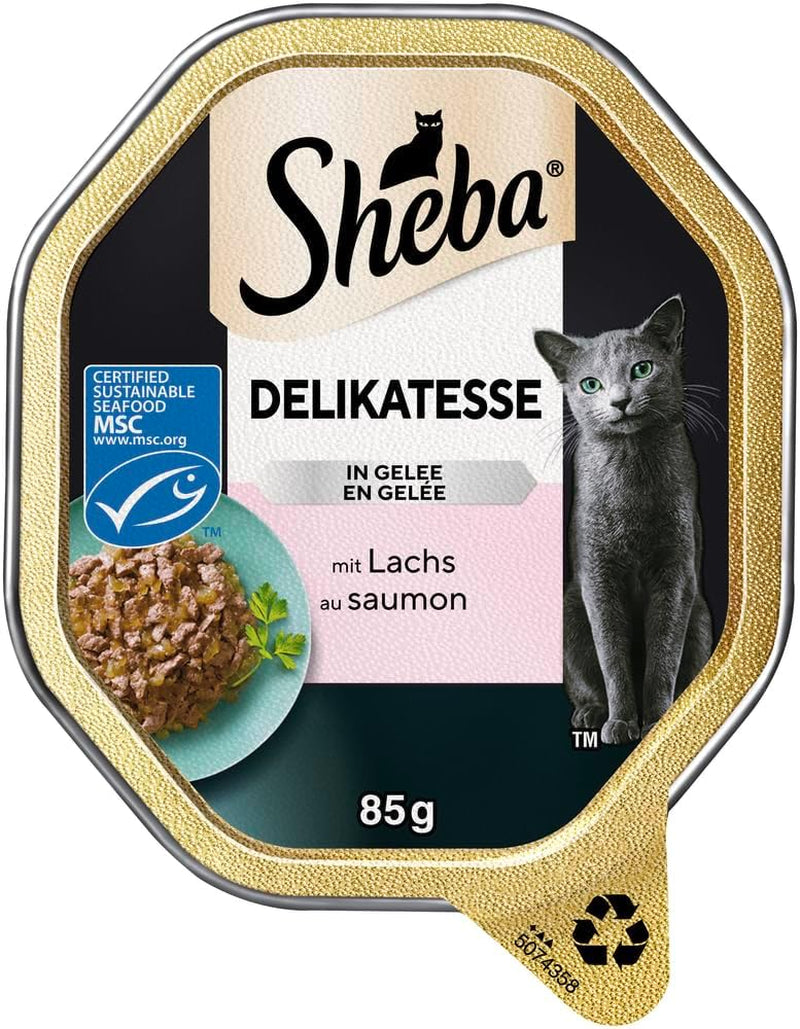 Sheba natvoer voor katten, delicaat in zalmgelei, 2 x 11 x 85 g