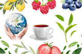 Babcia Jagoda - Vruchtenthee "Fruchtige Verführung" - 20 theezakjes - Met hibiscus, appel, appelbes, braam, rozenbottel, sinaasappelschil - Intense fruitsmaak, cafeïnevrij, vegan, natuurlijk, Cay - 40G
