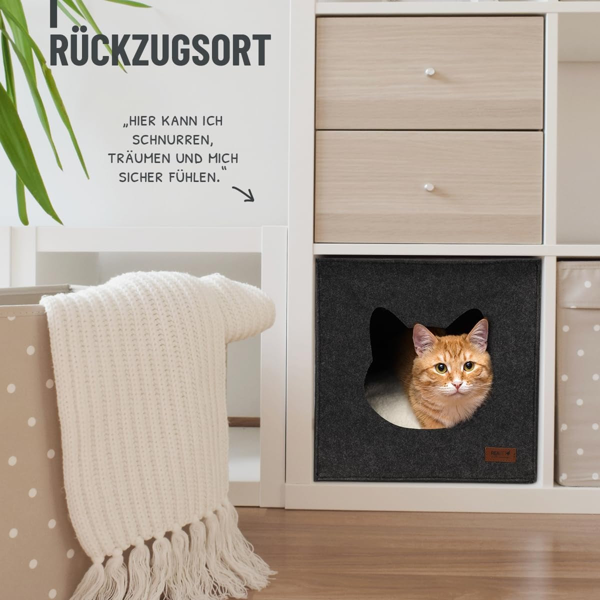 Dekens en meubels, Huisdieren, Grotten & Huizen, Katten, Kattenbedden, Katten - bedden, matrassen