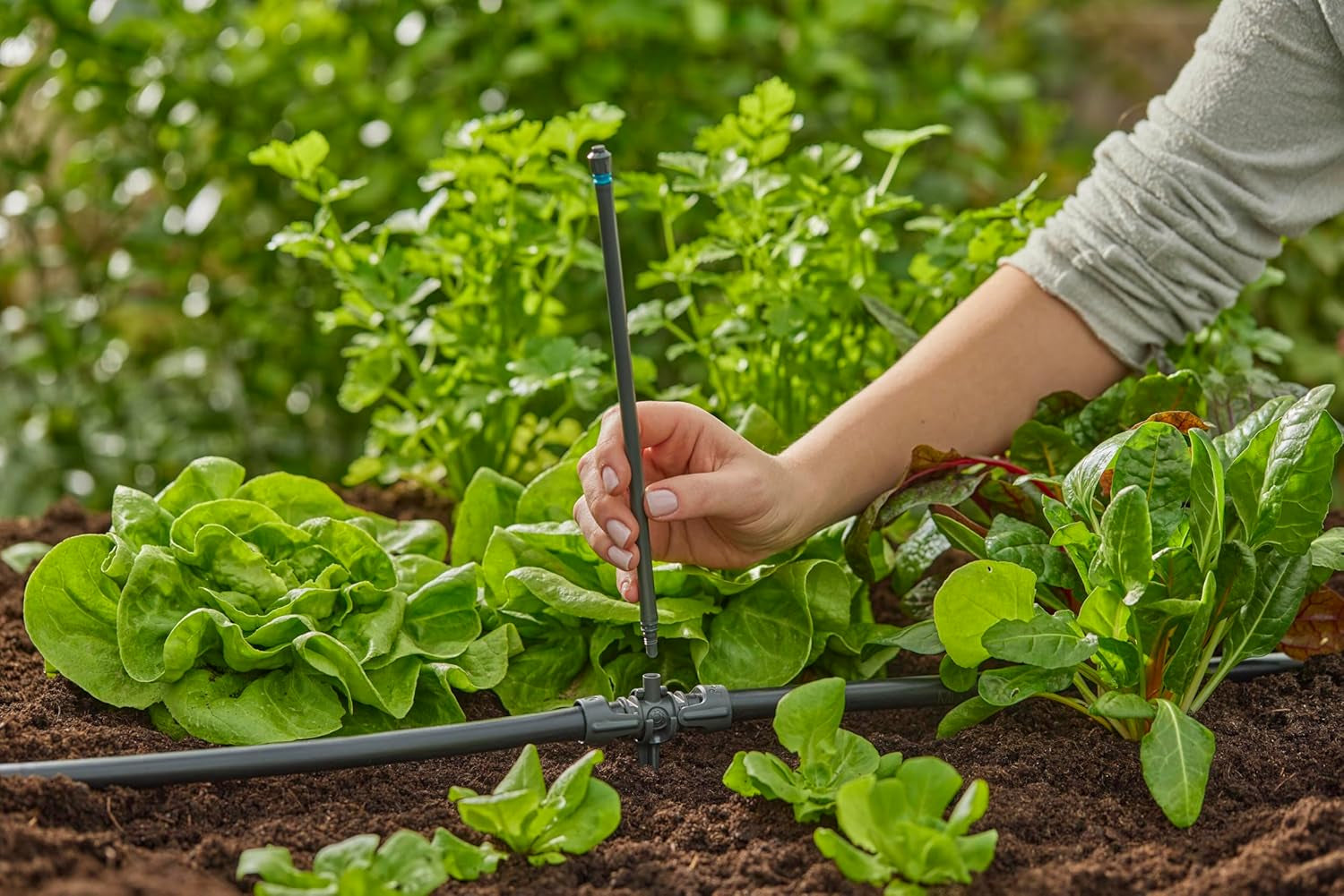 Gardena Micro-Drip-System T-stuk voor sproeikoppen: verbinding tussen 13 mm buizen en een sproeikop, automatische plantenbewatering, snelle en eenvoudige aansluittechniek, herbruikbaar (13206-20)