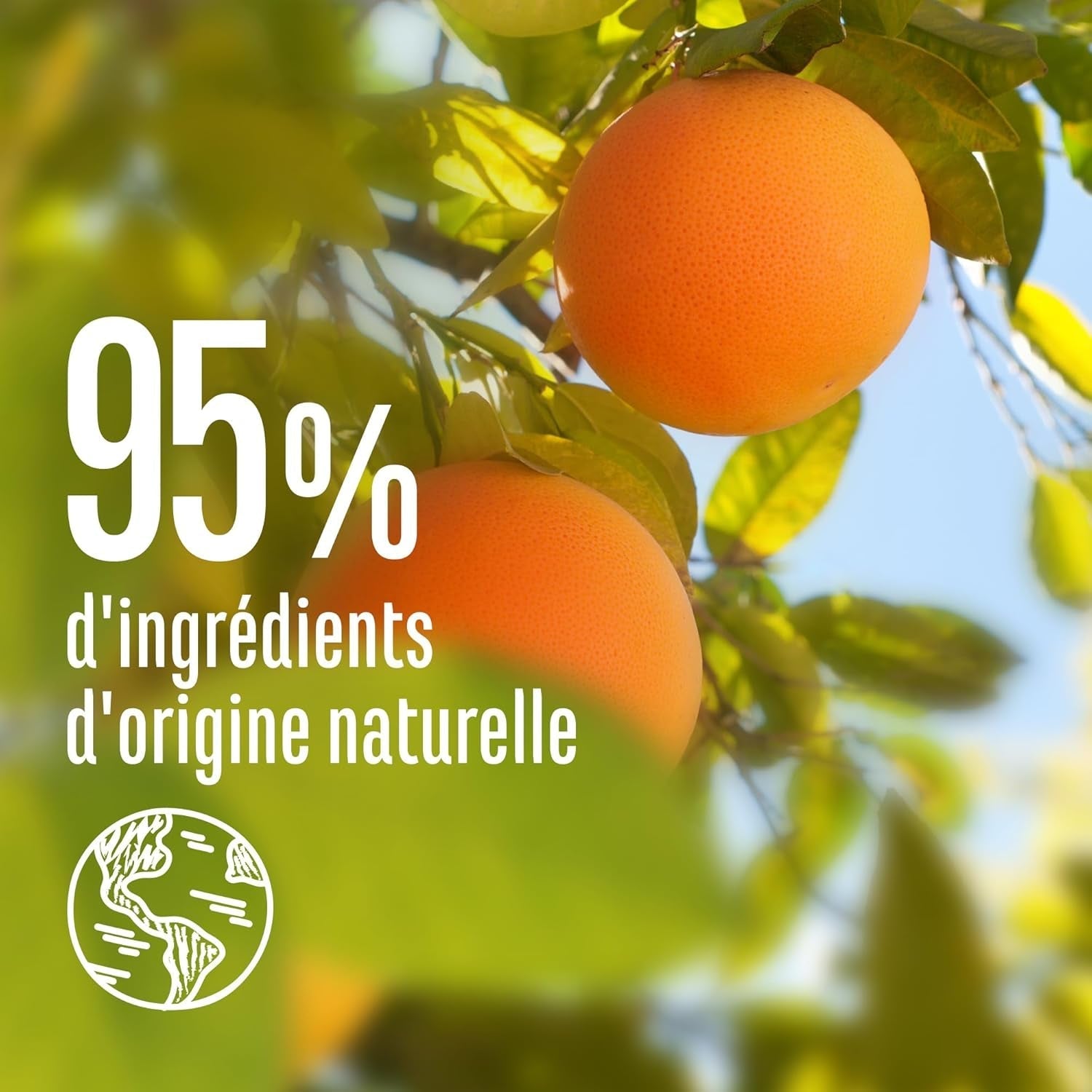 Le Petit Marseillais | Ontwarrende spray met grapefruit en jasmijn (fles van 200 ml) - leave-in ontwarrende verzorging - 95% natuurlijk en siliconenvrij Haarontwarrende producten Naty Shop