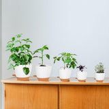 CSYY bloempotten set van 7 kunststof bloempotten met bewateringssysteem 20,3/19/17,7/16,5/15,2/14/12,7 cm zelfwater gevende potten en schotel binnen buiten