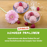 FRECHE FREUNDE Biologische fruitgelei, appel-, frambozen- en rijstlolly's, fruitige zoete snack voor kinderen, glutenvrij, veganistisch, verpakking van 20 (20 x 30 g)