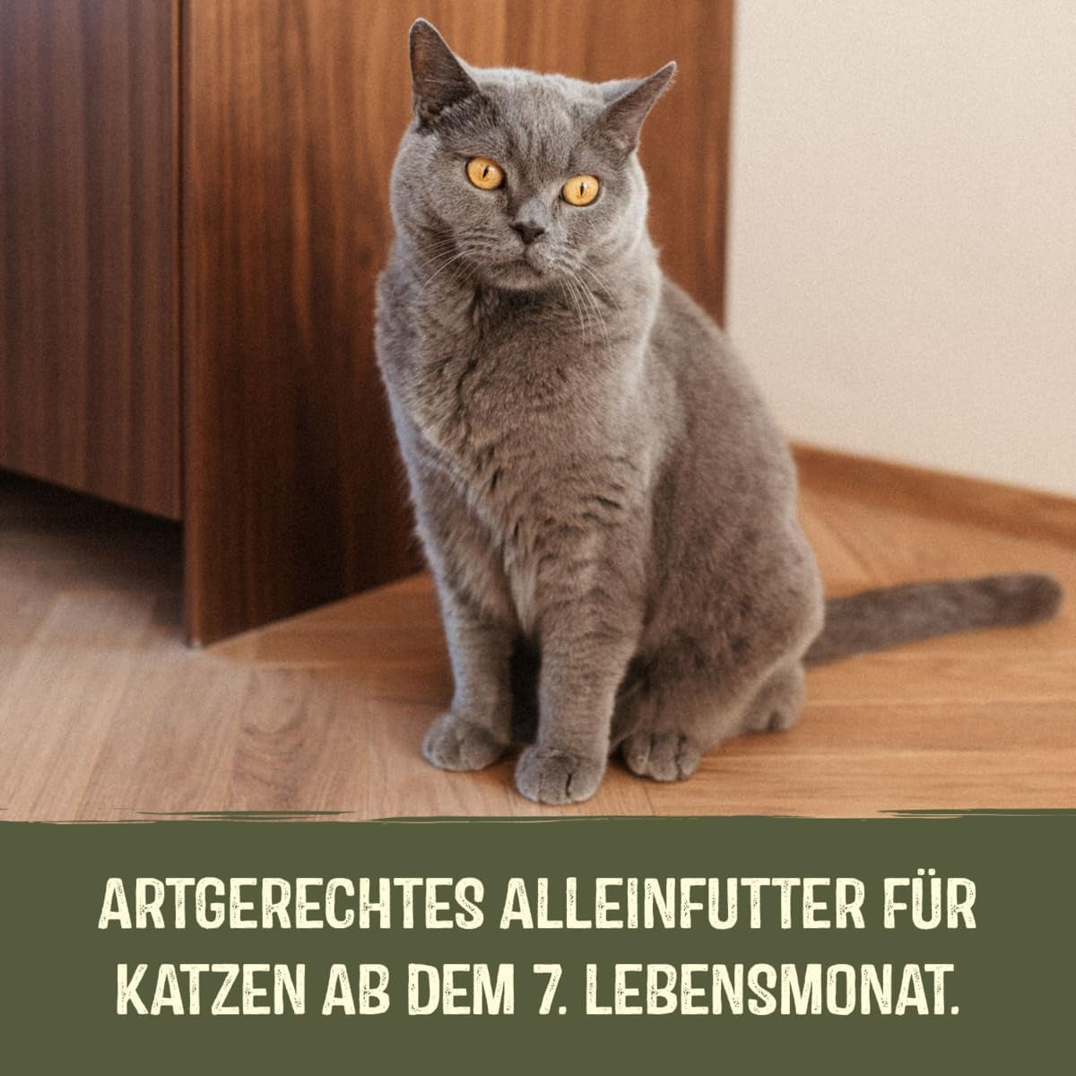 GimCat Near Nature Trial Mix 12 Pack - Natgraanvrij voer voor katten vanaf 7 maanden met een soortgeschikte en prooispecifieke receptuur - 12 zakjes (12 x 85g)