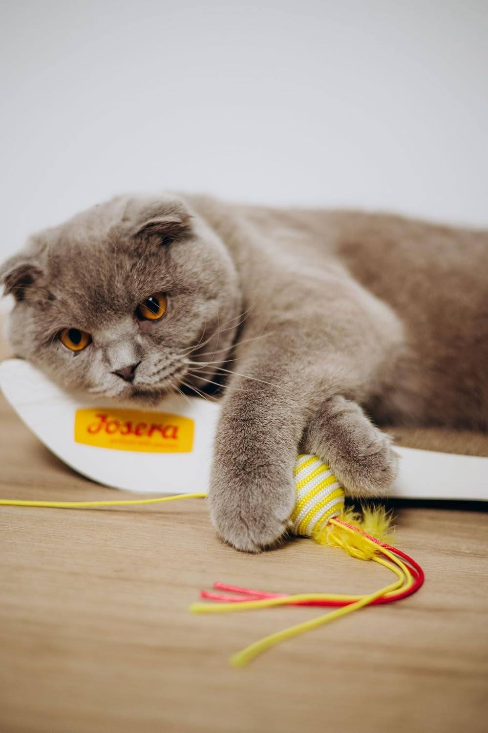 JosiCat Kip in Saus (12 x 415 g) | Volwassene | Premium natvoer voor volwassen katten | Kip in saus | Vitamine D3 en E | Mogelijk gemaakt door JOSERA | Natvoer voor katten | Volledige voeding | Pak van 12