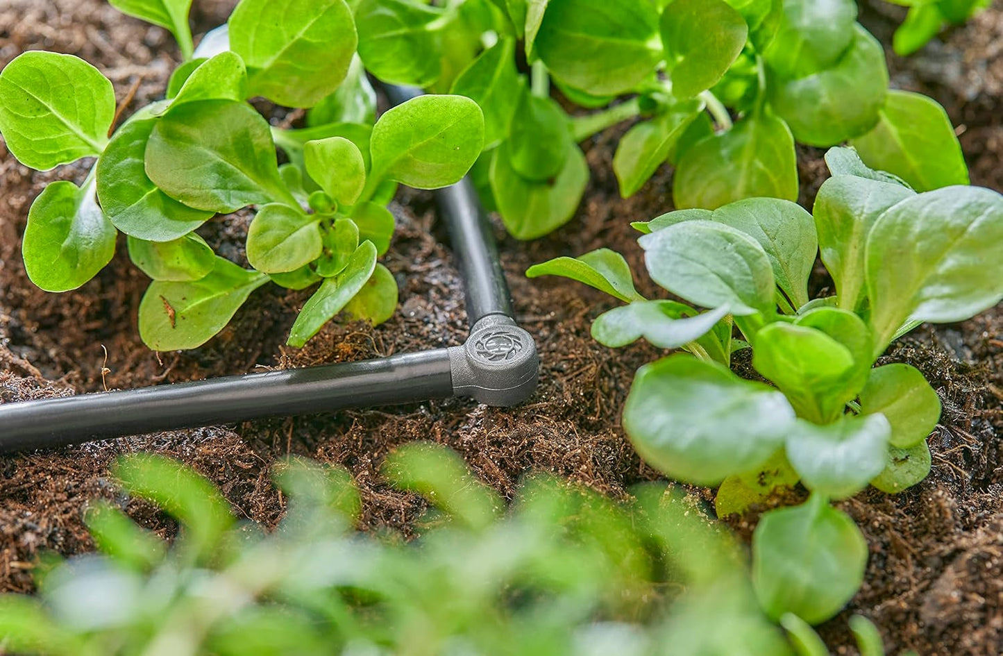 L-stuk voor Gardena Micro-Drip 4,6 mm (3/16 inch): Voor het veranderen van de distributierichting en druppelleidingen met 90 graden, knikvrije montage, eenvoudige en flexibele aansluittechniek (13212-20)