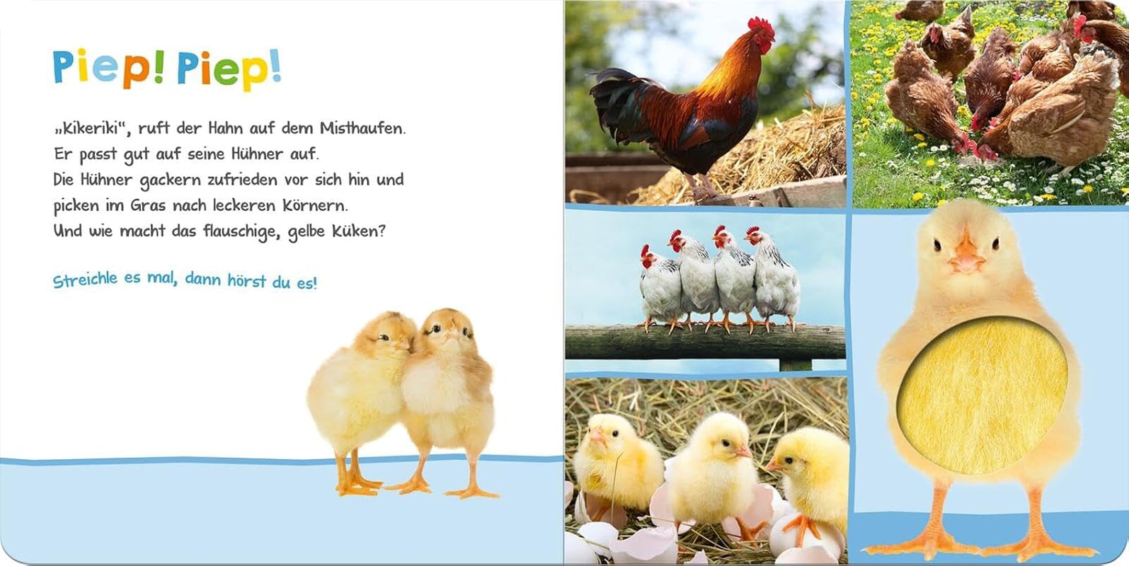 Luister, wie zou het kunnen zijn? - Boerderijdieren: aaien en luisteren | Hoogwaardig kartonnen prentenboek met 5 geluiden en voelelementen voor kinderen vanaf 18 maanden Baby Toys Naty Shop