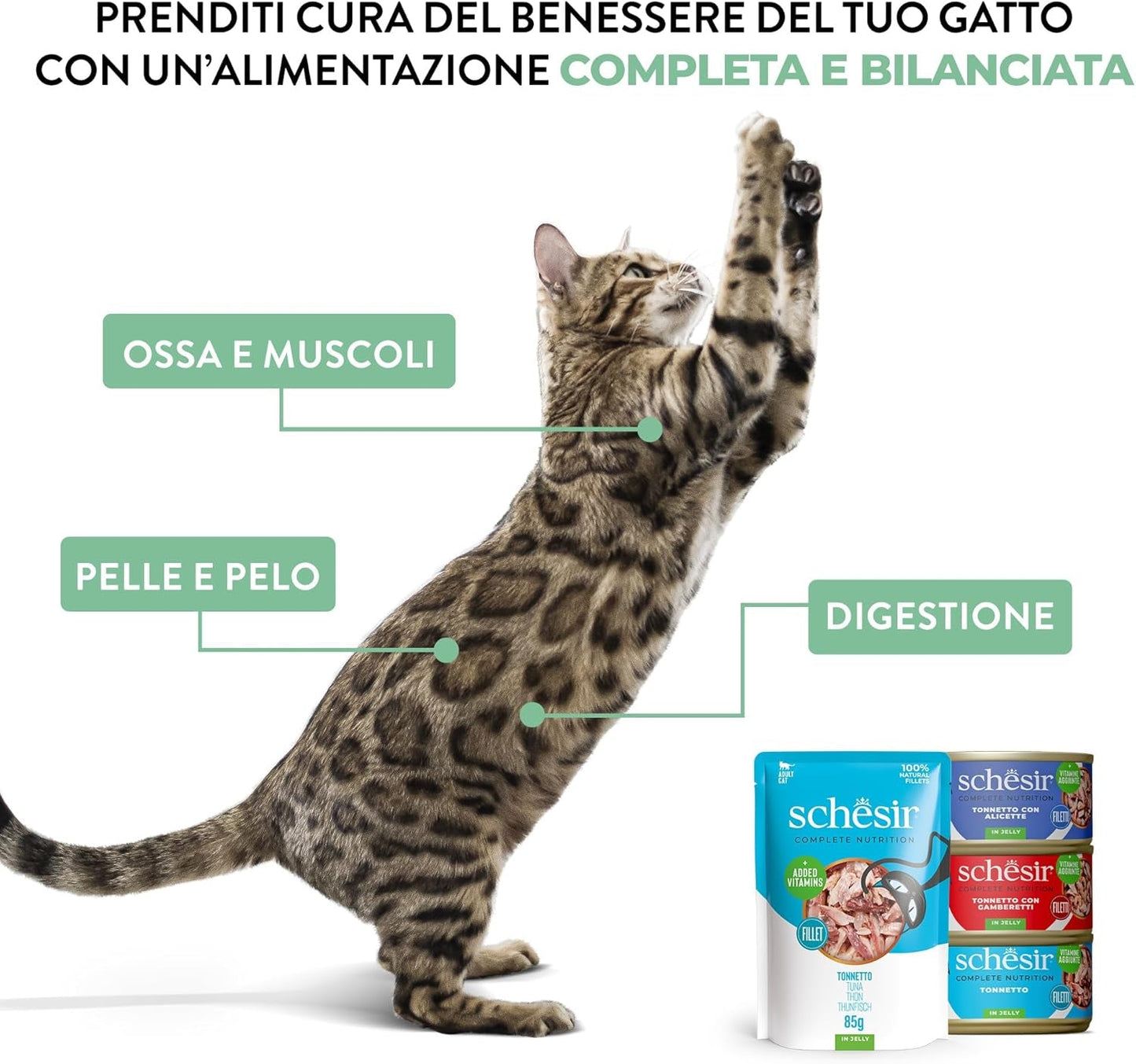 , Tonijn met blauwe vis in gelei, compleet natvoer voor katten, in zak, met extra vitamines, 100% natuurlijk, 6 x 85 g