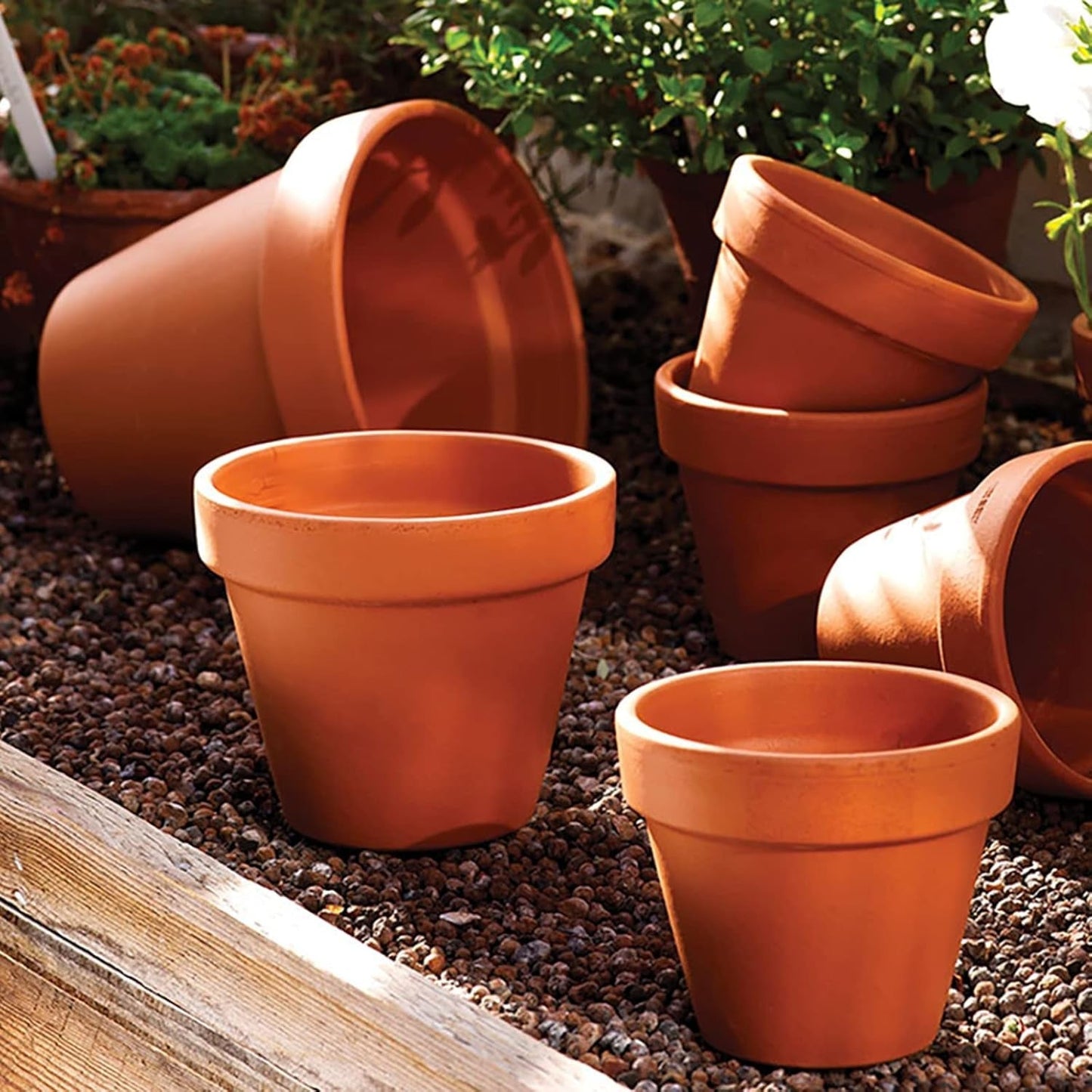 Hollyone 8-delige kleine terracotta plantenbakkenset, 8x8cm ronde kleipotten met plaat en afvoergat, kleine plantenbakken met lade, terracotta succulente potten voor kamerplanten, keramische plantenbakken