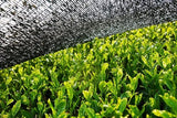 BIO Matchapoeder 200 g I Geen toevoegingen - 100% natuurlijk I Premium Japanse Matcha thee I Groene theepoeder van
