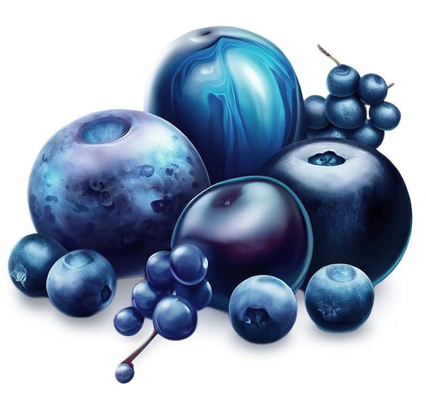 Kleurstofpoeder natuurlijke kleurstof Fruity Line BLUEBERRY 20G natuurlijke kleurstof voor crèmes glazuursponsdeeg in poedervorm kleurstof voor drankengelei