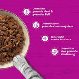 WHISKAS PURE DELIGHT Natvoer in gelei 24 x 85 g Klassieke Ragout (4 pakjes) 48 geportioneerde zakjes