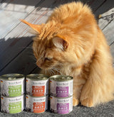Venandi - Premium nat kattenvoer - varkensvlees als enkel eiwit, 6 x 400 g (pak van 6), graanvrij met extra vlees