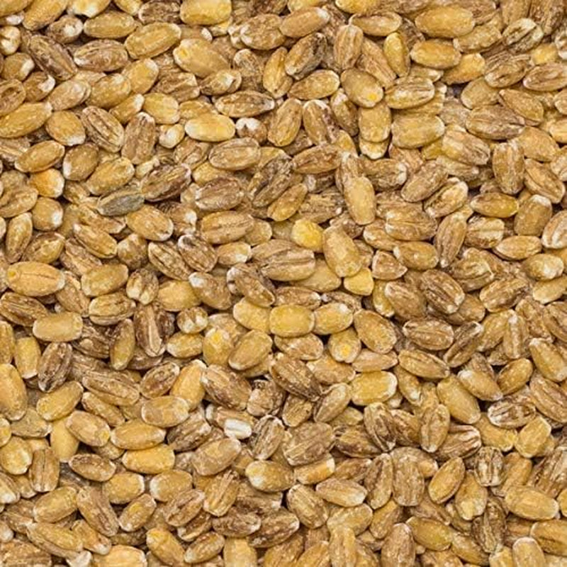 Wholefood Earth parelgort - non-GMO - vegan - zuivelvrij - geen toegevoegde suikers, 2 kg