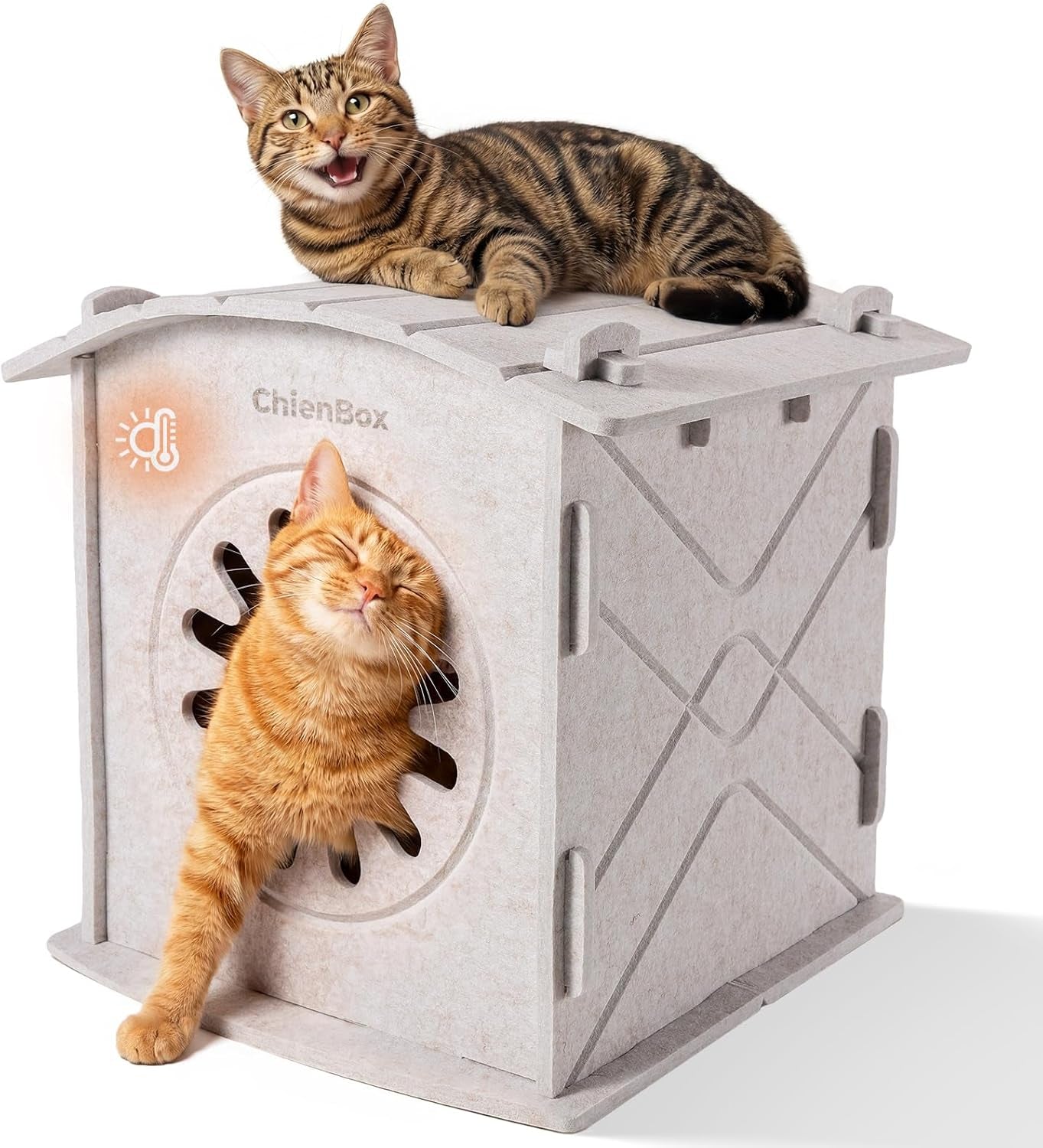 Katzenhaus Indoor aus Filz: Warmes en Gemütliches Katzenbett, Katzenhöhle mit beruhigedem Kratzbogen, Robuste & Kratzfeste Katze Höhle, Abnehmbares Katzen Bett, Katzen Haus 38 x 36 x 38cm