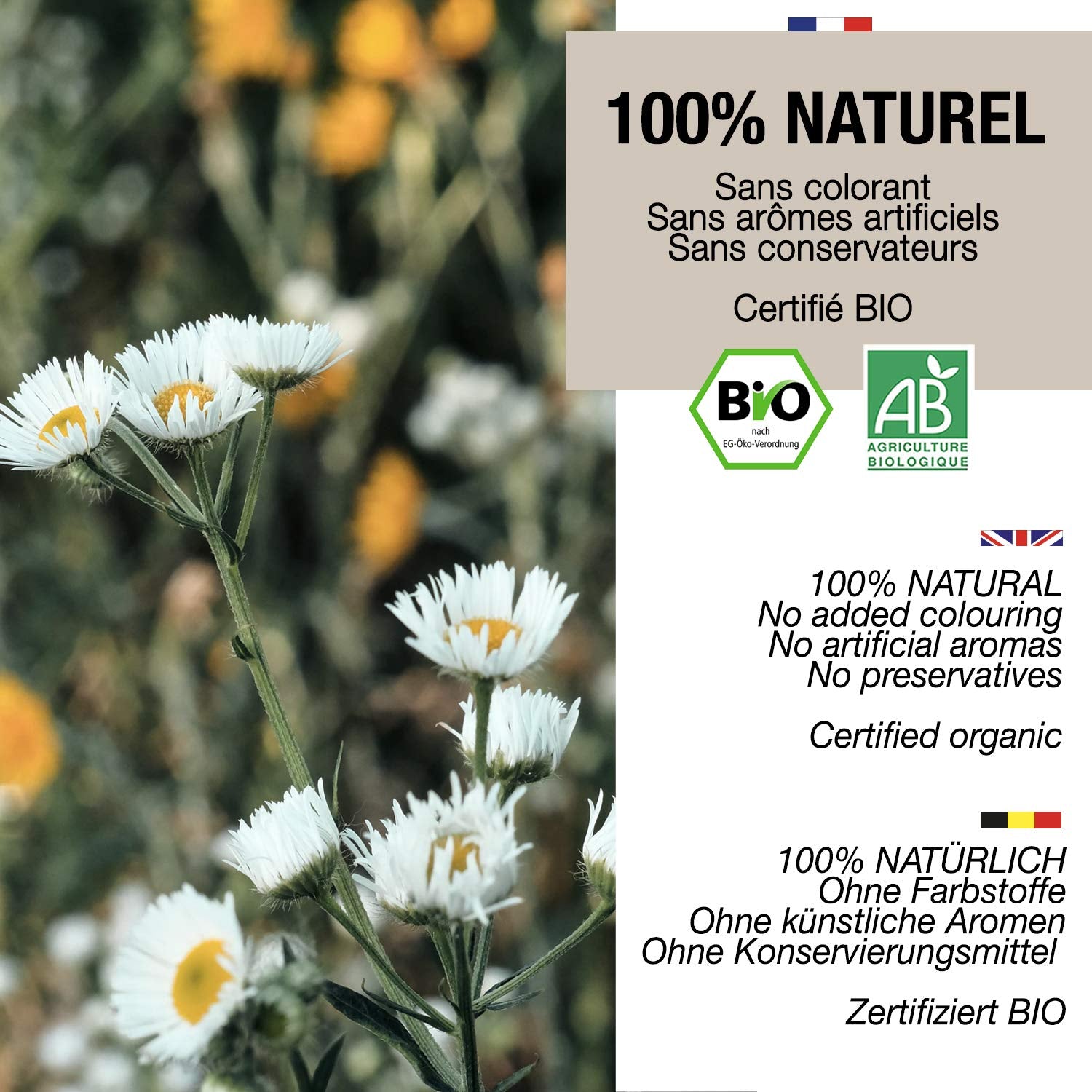 ORIGEENS Biologische Kamillebloementhee uit Europa, 100 g | Losbladige thee, biologische thee voor slaap en spijsvertering | Duitse Kamille | Gecertificeerd en verpakt in Duitsland