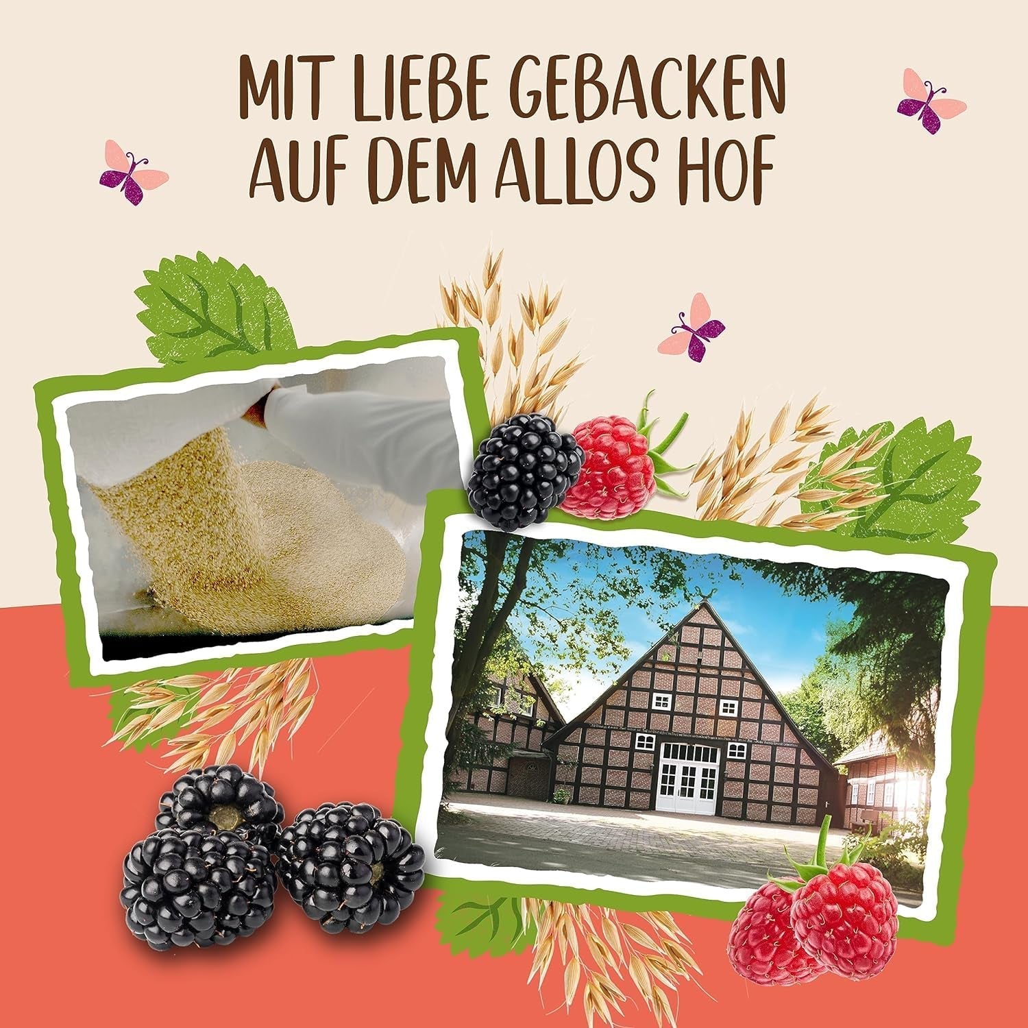 Allos Hof Granola met bessen | Biologische Muesli | Muesli met bessen | Krokante Muesli | Ontbijtgranen | Verpakking van 6 (6 x 300 g), 1 stuk (verpakking van 6)
