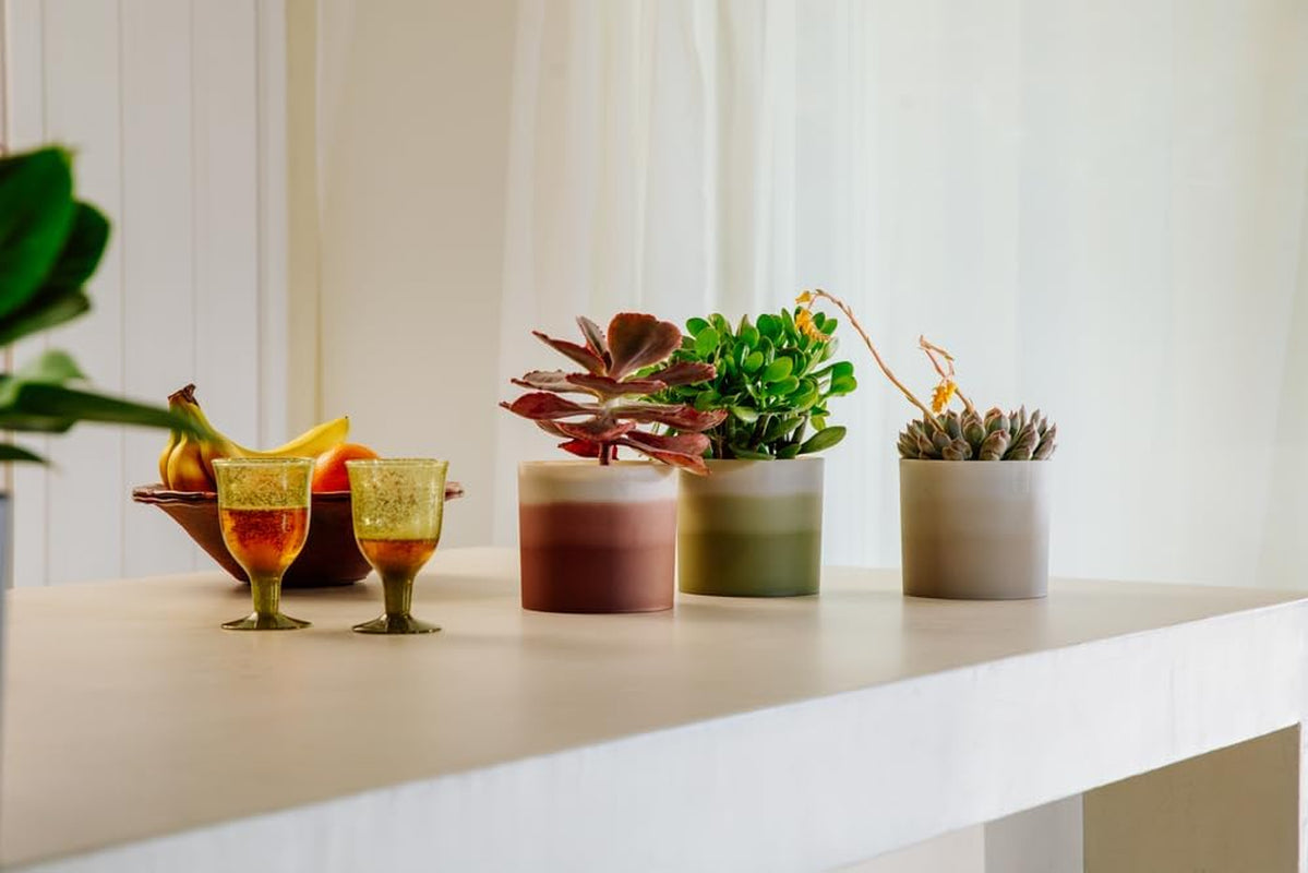 elho Ronde pot met kleurverloop 16 cm - Bloempotten voor binnen - 100% gerecycled plastic - Ø 15,9 x H 14,7 - Bruin/Cederbruin