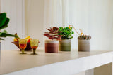 Ronde pot elho Color Gradient 16cm - voor binnengebruik - 100% gerecycled plastic - Ø 15,9 x H 14,7 - beige/beige steengoed