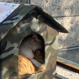 Dekens en meubels, Huisdieren, Grotten & Huizen, Katten, Kattenbedden, Katten - bedden, matrassen