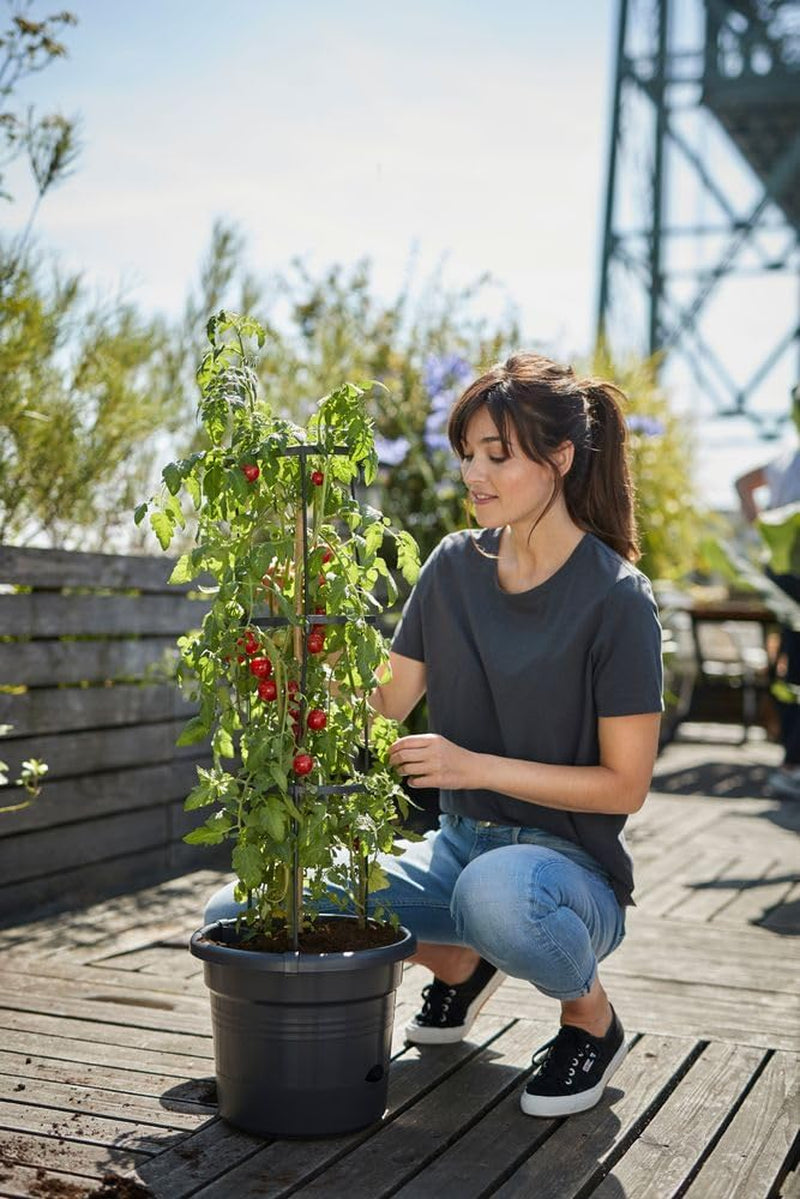 elho Green Basics Tomatenpotten 33 - Bloempotten voor buitenkweek en oogst - Ø 33,5 x H 26,0 cm - Zwart/Levendig zwart