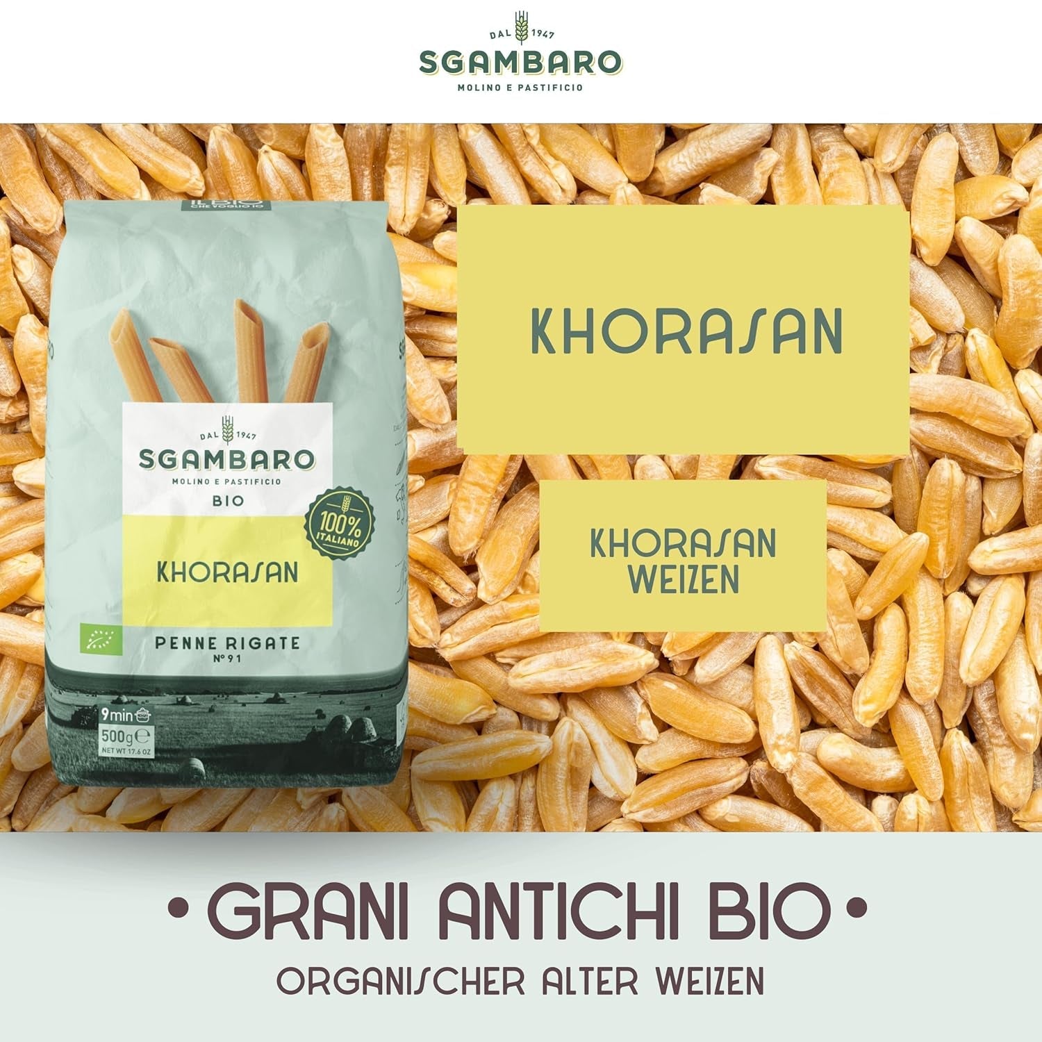 Biologische Penne Rigate Pasta N.91 - 500g van Khorasan Tarwe - Oude tarwe, rijk aan eiwitten, 100% verbouwd in Italië - Veelzijdig in de keuken en rijk aan voedingsstoffen