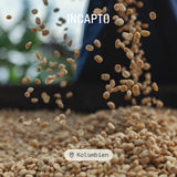Incapto Spezialitäten-Kaffeebohnen | Colombiaanse single-oorsprong | Espresso 100% Arabica | Koffiespecialiteit 84 Punten SCA | Traditionele Geröstete Bohnenkaffee | Plantage Huila, Cadefihuila, 1kg