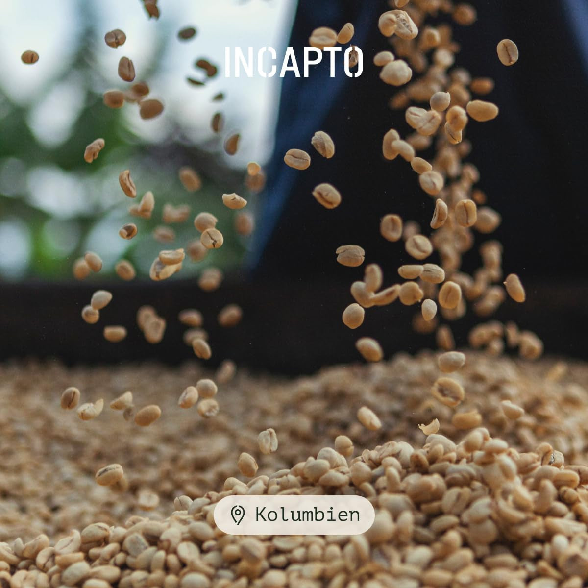 Incapto Spezialitäten-Kaffeebohnen | Colombiaanse single-oorsprong | Espresso 100% Arabica | Koffiespecialiteit 84 Punten SCA | Traditionele Geröstete Bohnenkaffee | Plantage Huila, Cadefihuila, 1kg