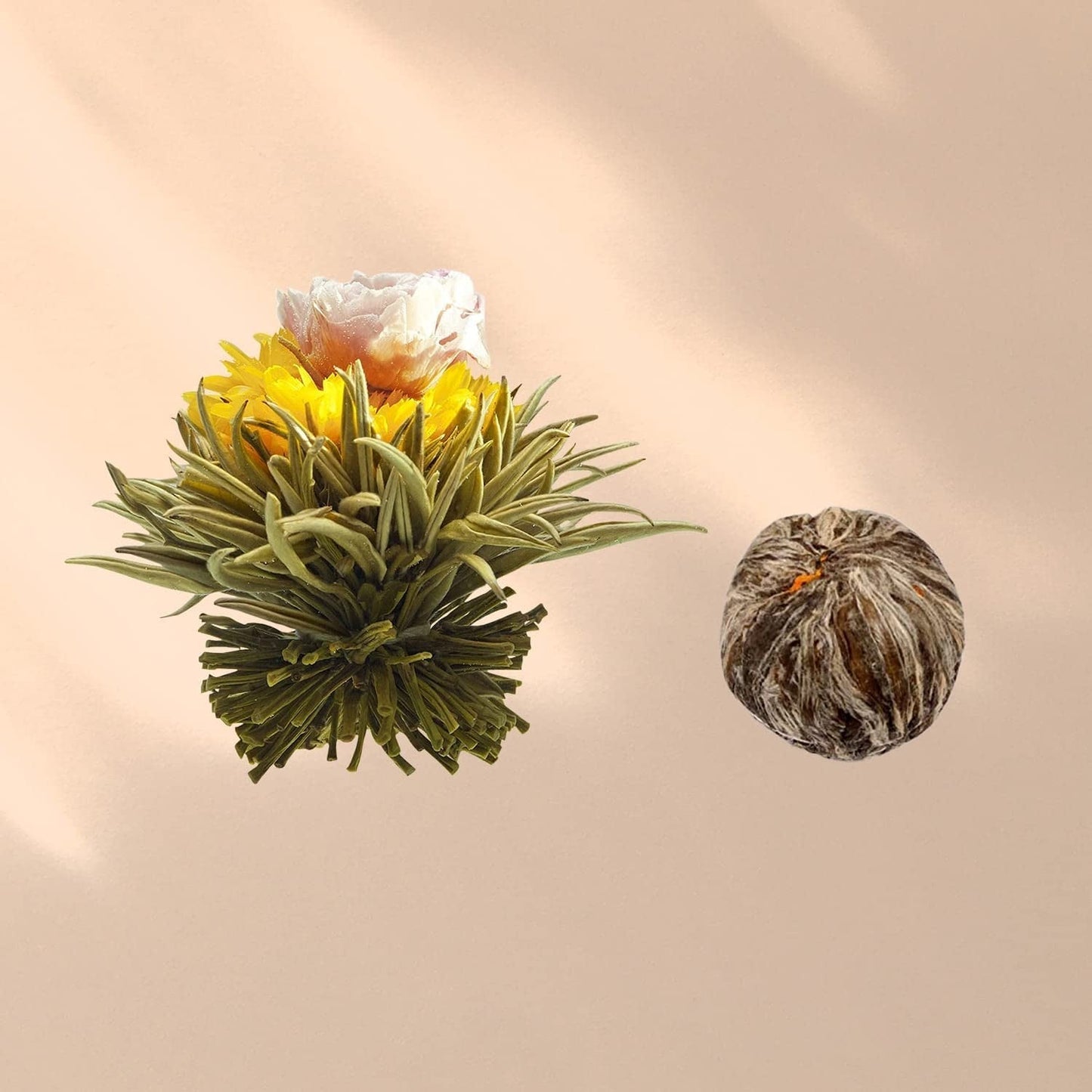 Feelino Elegant 6-delige mixdoos - Feelino witte theebloemen in een prachtige proef- en geschenkdoos met 6 verschillende witte theeroosjes, individueel vacuüm verpakt, 1 stuksverpakking