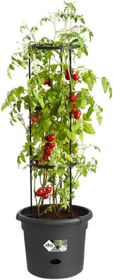 elho Green Basics Tomatenpotten 33 - Bloempotten voor buitenkweek en oogst - Ø 33,5 x H 26,0 cm - Zwart/Levendig zwart