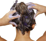 L'Oréal Professionnel Serie Expert Zilver, Shampoo, 500 ml Douche en bad Naty Shop