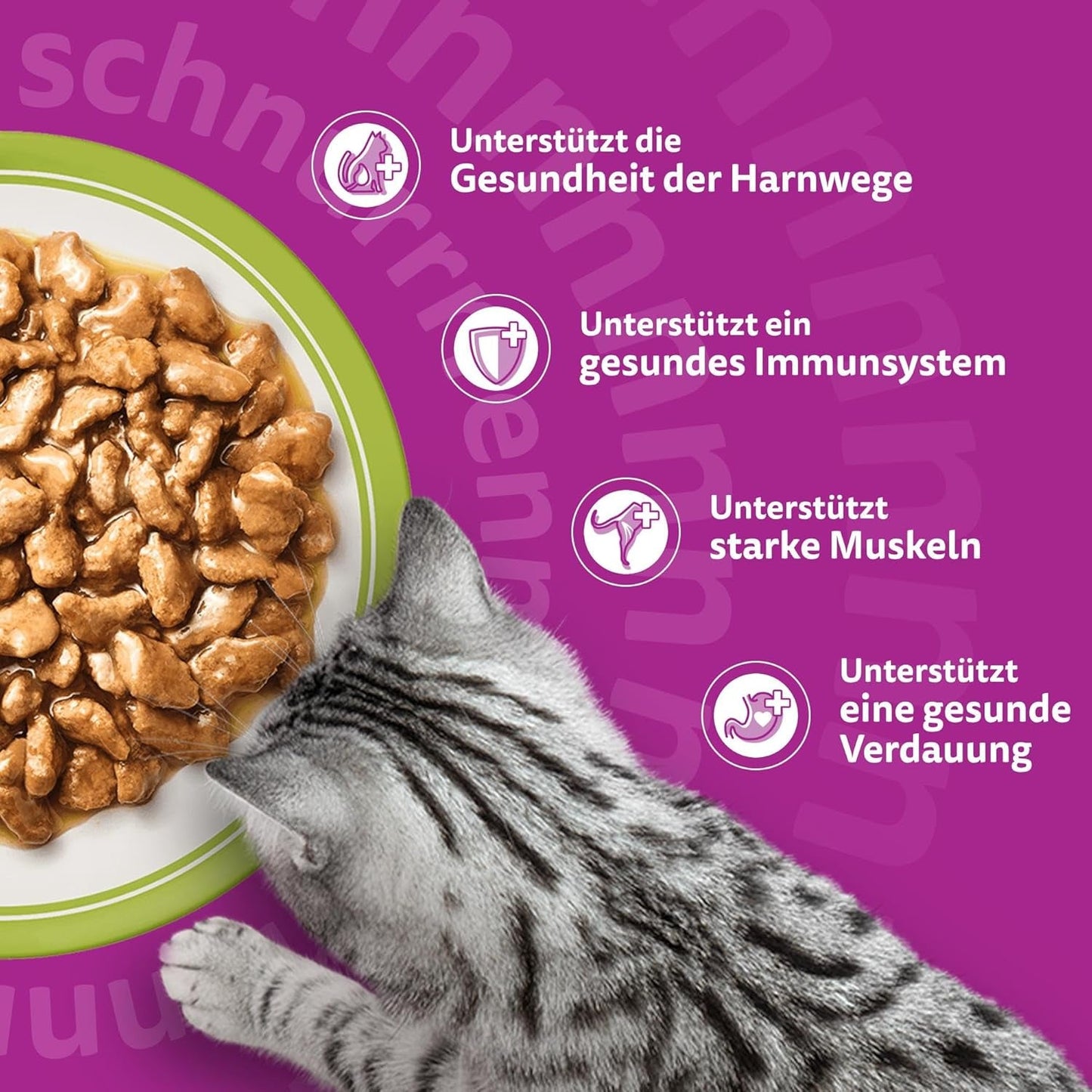 Whiskas Senior 7+ Natvoer Gemengde Selectie in Gelei, 84 Zakjes, 84x85g (1 Grote Verpakking) - Hoogwaardig natvoer voor katten van 7 jaar en ouder